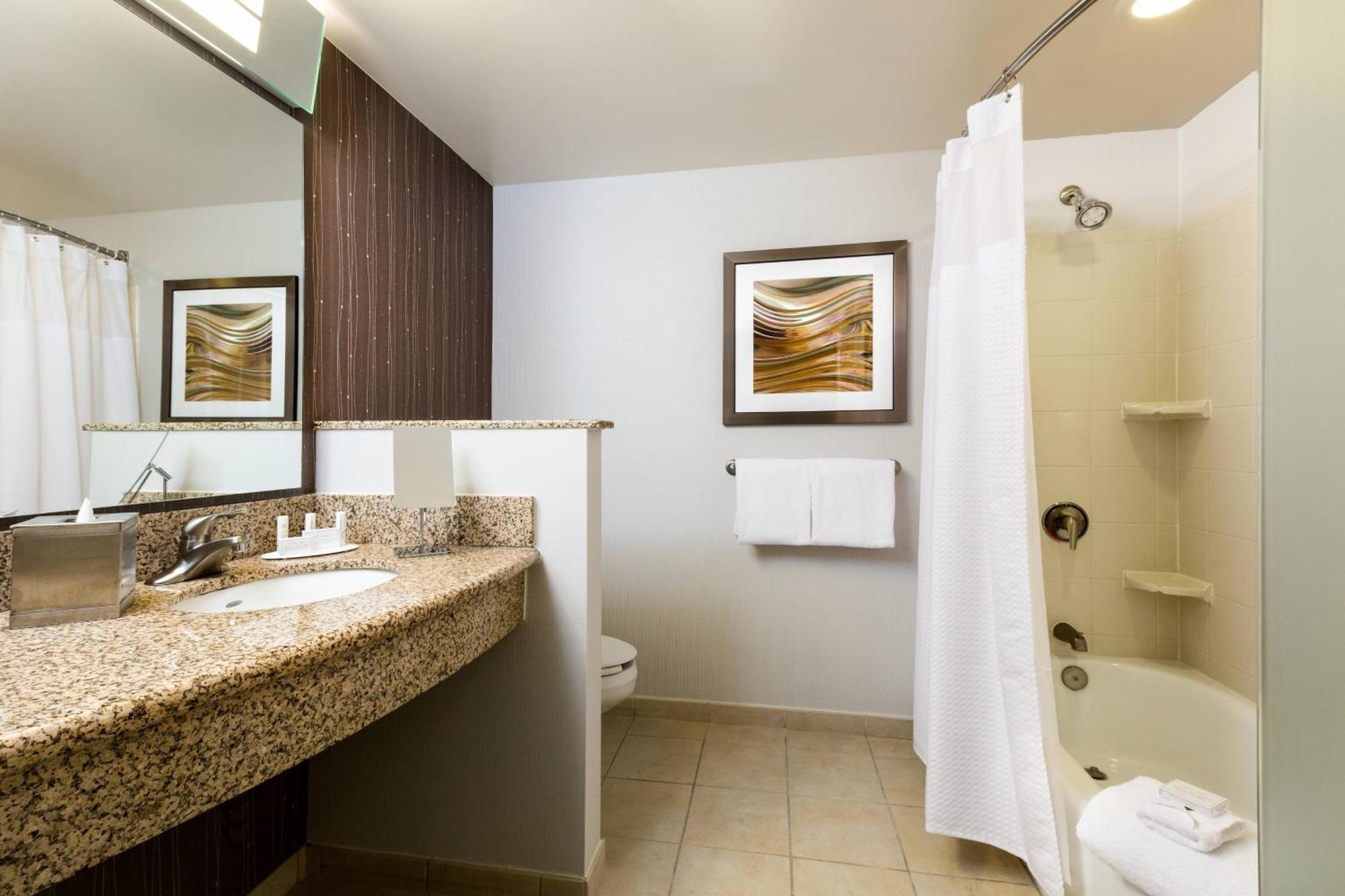 Courtyard By Marriott Houston Galleria Ngoại thất bức ảnh